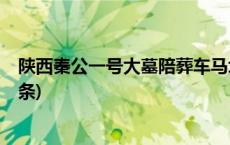 陕西秦公一号大墓陪葬车马坑启动新一轮考古发掘(今日/头条)