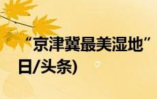 “京津冀最美湿地”河北衡水湖金秋开渔(今日/头条)