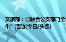 文旅部：已联合公安部门全面收集炒票倒票线索，严打“黄牛”活动(今日/头条)