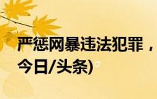 严惩网暴违法犯罪，这五种情形从重处罚！(今日/头条)