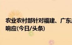 农业农村部针对福建、广东启动农业重大自然灾害Ⅳ级应急响应(今日/头条)