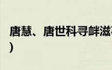 唐慧、唐世科寻衅滋事案公开宣判(今日/头条)