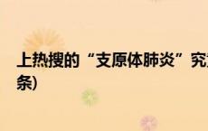 上热搜的“支原体肺炎”究竟是啥？该如何治疗？(今日/头条)
