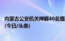内蒙古公安机关押解40名缅北电信网络诈骗犯罪嫌疑人归案(今日/头条)