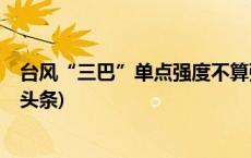 台风“三巴”单点强度不算强，为何降水如此猛烈？(今日/头条)