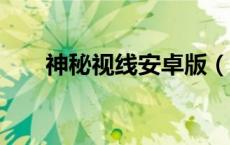 神秘视线安卓版（神秘视线8中文版）