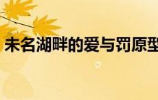 未名湖畔的爱与罚原型（未名湖畔的爱与罚）