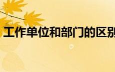 工作单位和部门的区别（单位和部门的区别）