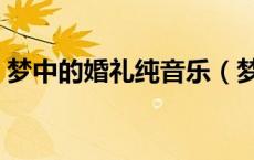 梦中的婚礼纯音乐（梦中的婚礼纯音乐下载）