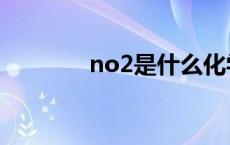 no2是什么化学名称（no2）