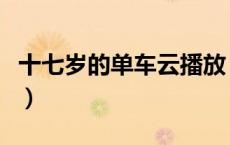 十七岁的单车云播放（十七岁的单车迅雷下载）