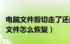 电脑文件剪切走了还能恢复吗（剪切后丢失的文件怎么恢复）