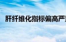 肝纤维化指标偏高严重吗（肝纤维化指标）
