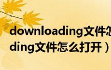 downloading文件怎么继续下载（downloading文件怎么打开）