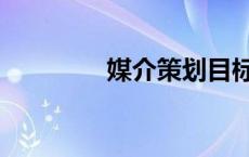 媒介策划目标（媒介策划）