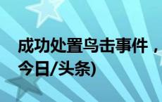 成功处置鸟击事件，这个航班机组受到嘉奖(今日/头条)