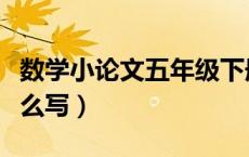 数学小论文五年级下册（数学小论文五年级怎么写）