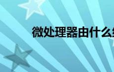 微处理器由什么组成（微处理器）