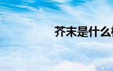 芥末是什么植物（芥沫）