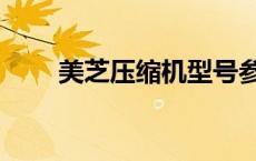 美芝压缩机型号参数（美芝压缩机）