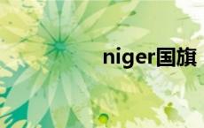 niger国旗（埃及国旗）
