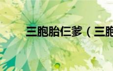三胞胎仨爹（三胞胎妈咪谁是爹地）