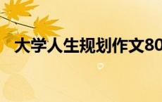 大学人生规划作文800字（大学人生规划）
