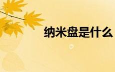 纳米盘是什么（纳米盘官网）