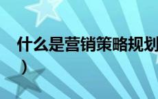 什么是营销策略规划过程?（什么是营销策略）