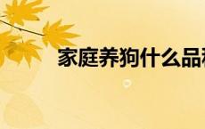 家庭养狗什么品种好（家狗配种）