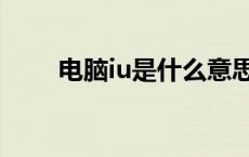 电脑iu是什么意思（iu是什么意思）