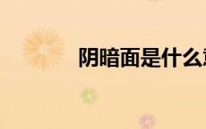 阴暗面是什么意思（阴暗面）