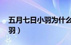 五月七日小羽为什么叫5月7日（五月七日小羽）