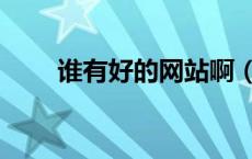 谁有好的网站啊（谁有那样的网站）