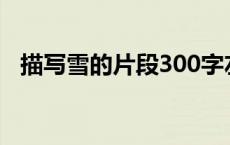 描写雪的片段300字左右（描写雪的片段）