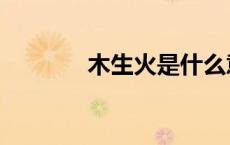 木生火是什么意思（木生火）