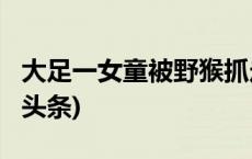大足一女童被野猴抓走？假的，别信！(今日/头条)