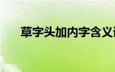 草字头加内字含义详解（草字头加内）