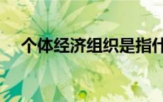 个体经济组织是指什么（个体经济组织）
