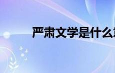 严肃文学是什么意思（严肃文学）