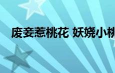 废妾惹桃花 妖娆小桃 小说（废妾惹桃花）