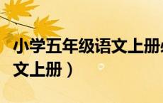 小学五年级语文上册必背内容（小学五年级语文上册）