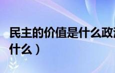 民主的价值是什么政治学原理（民主的价值是什么）