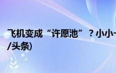 飞机变成“许愿池”？小小一枚硬币可能造成大隐患！(今日/头条)