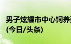 男子炫耀市中心饲养烈性犬，警方：行政拘留(今日/头条)