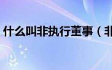 什么叫非执行董事（非执行董事是什么意思）