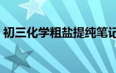 初三化学粗盐提纯笔记（粗盐提纯除杂顺序）
