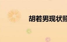 胡若男现状照片（胡若男）