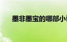 墨非墨宝的哪部小说好看（莫非墨宝）