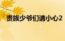 贵族少爷们请小心2（贵族少爷们请小心）